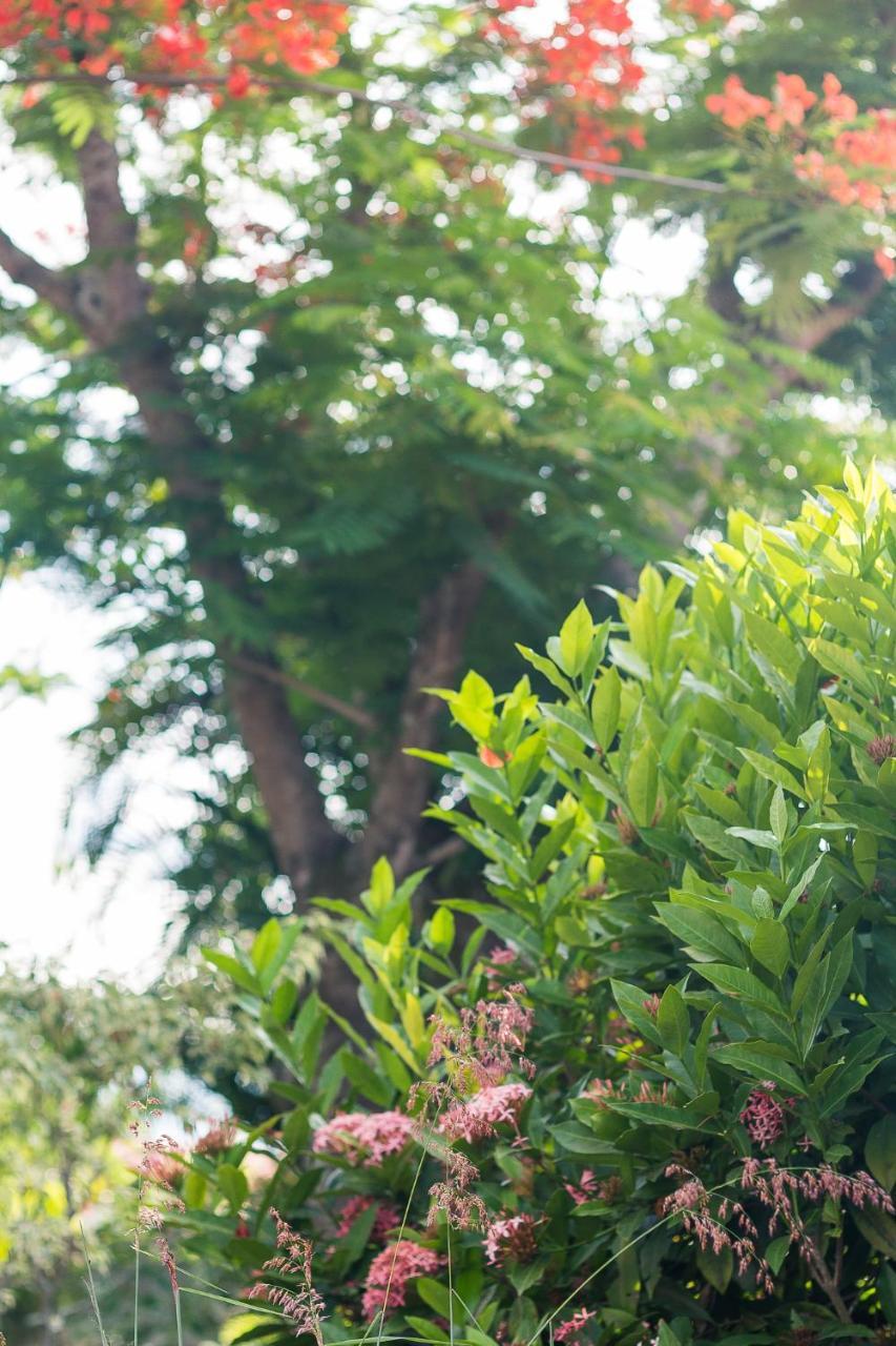 Pousada Solar Tropical Saquarema Exteriér fotografie